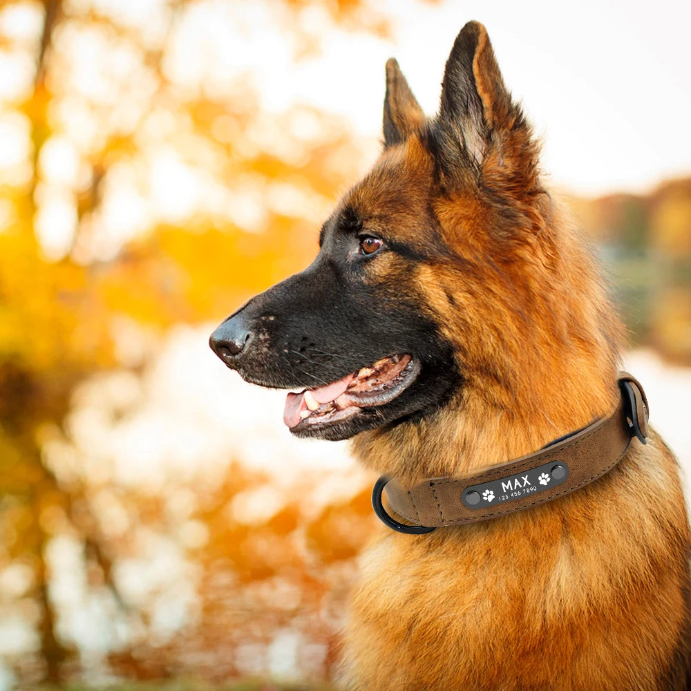 Personalized Custom Leather Dog Collars.