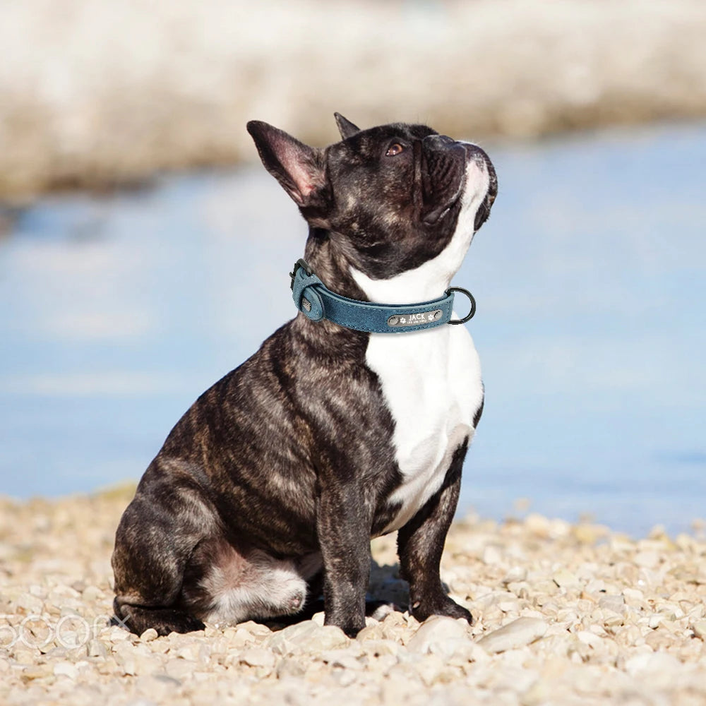 Personalized Custom Leather Dog Collars.