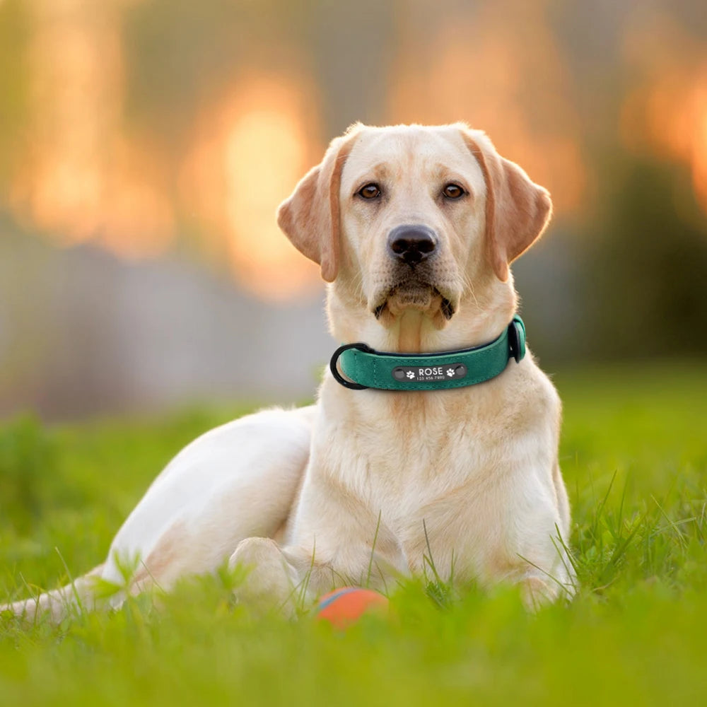 Personalized Custom Leather Dog Collars.