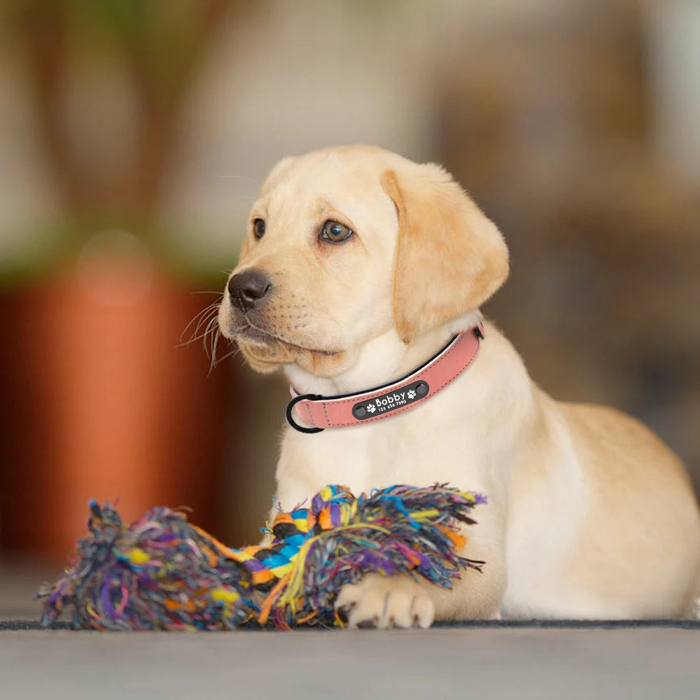 Personalized Custom Leather Dog Collars.